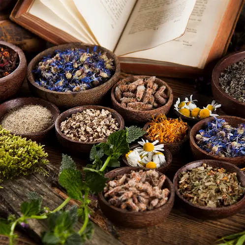Apothecary_1x1