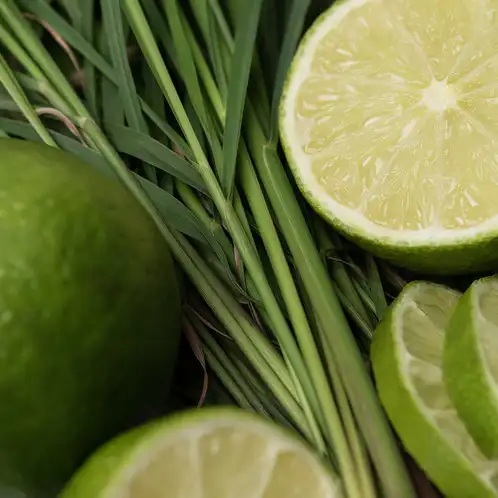 Lemongrass-and-Lime-1x1-web