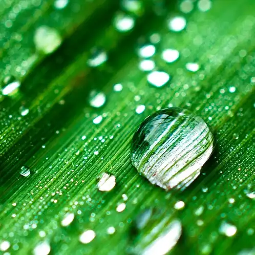 Rain-Water-Fragrance-Oil