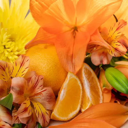 Solar_Petals_and_Tangerine_1x1