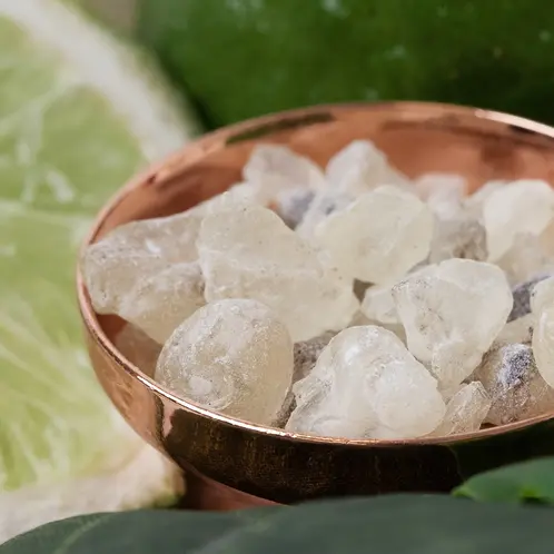 White_Copal___Bergamot_1x1