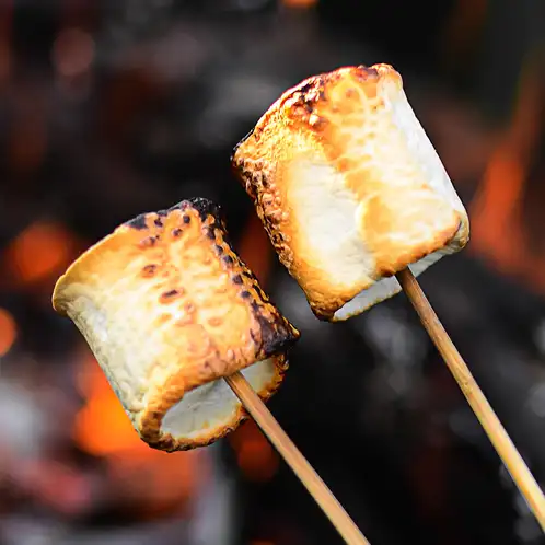 campfire-marshmallow-fragrance-oil-web