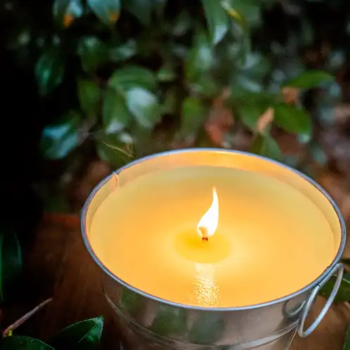 citronella-FO-web