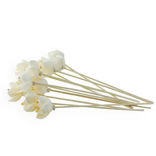 flower-reeds-on-white
