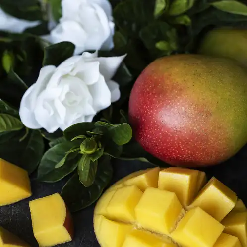 mango-and-gardenia-fragrance-oil-web