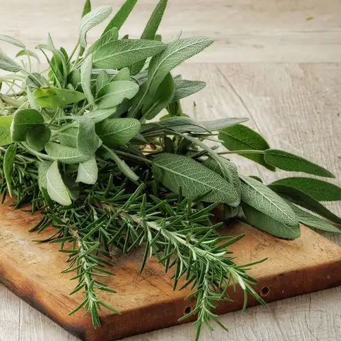 rosemary-sage-fragrance-oil-web