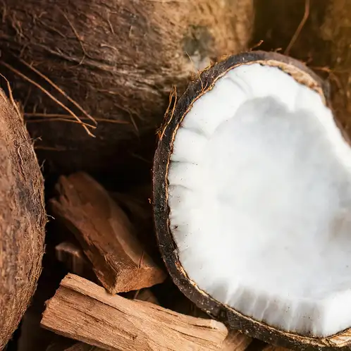 santal-coconut-fragrance-oil-web