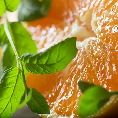 watermint-and-clementine-fragrance-oil-web